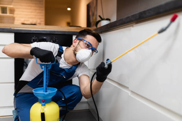 Best Commercial Pest Control Services  in North Auburn, CA