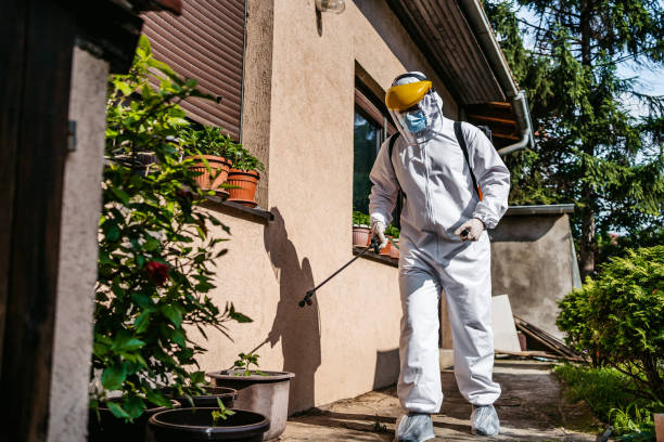 Best Bird Control  in North Auburn, CA