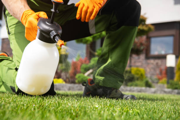  North Auburn, CA Pest Control Pros