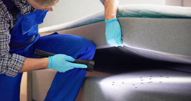 Best Cockroach Control Services  in North Auburn, CA