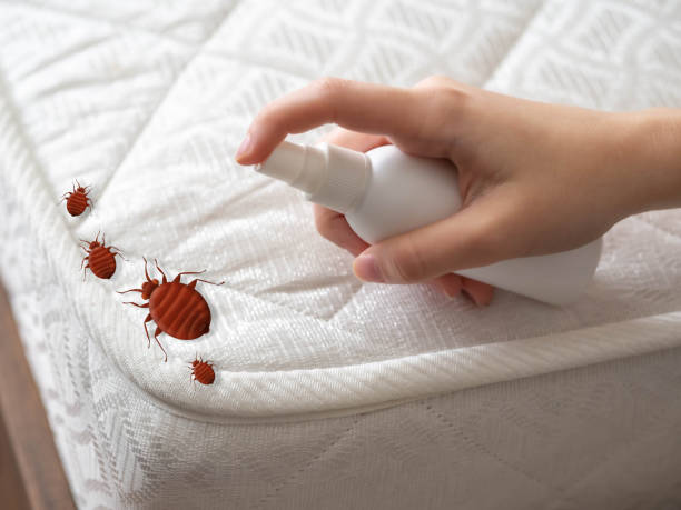 Best Best Pest Control Companies  in North Auburn, CA