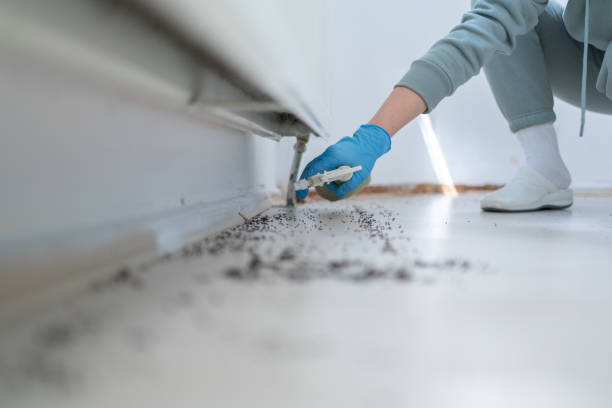 Best Wildlife Control Services  in North Auburn, CA